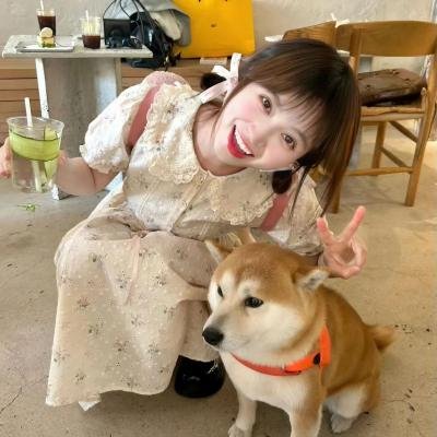 小老鼠历险记